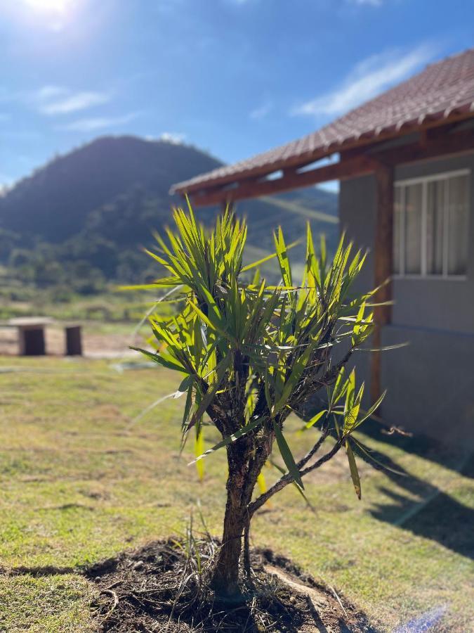 ドミンゴス・マルチンス Casas Vale Do Araceヴィラ エクステリア 写真